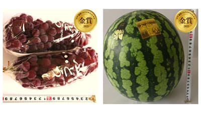 「野菜ソムリエサミット」8月度「青果部門」金賞7品など発表　日本野菜ソムリエ協会