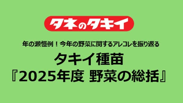 2025年野菜の総括　野菜摂取量の減少の理由に価格高騰も　タキイ種苗
