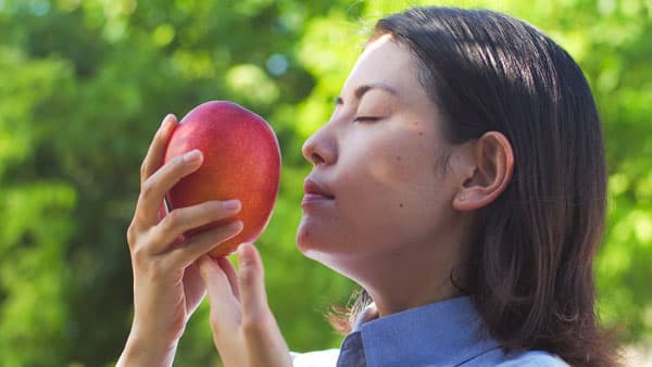宮古島名物　完熟マンゴー「恋ぽとりん」6月1日から予約開始