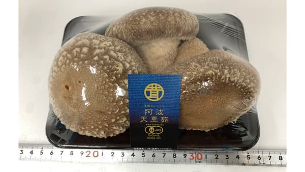 シイタケの新3品種　徳島県で初めて農水省に登録　高野キノコプラント