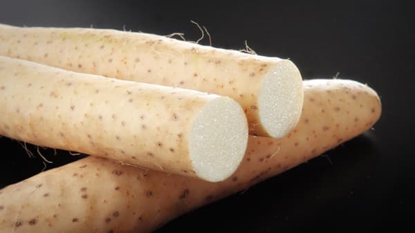 長芋の収穫を楽しむ「農業体験と料理教室ツアー」開催　十和田奥入瀬観光機構