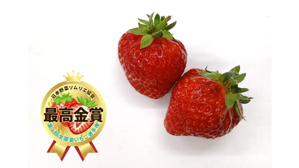 おいしい「夏いちご」日本一は広島県廿日市「冠苺」日本野菜ソムリエ協会