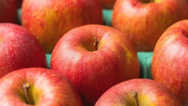 長野県飯綱町「りんごdeつながる関係人口フェア」29日に開催