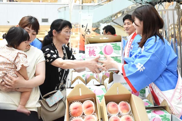 兵庫県川西市　特産早生桃「日川白鳳」品評即売会を開催