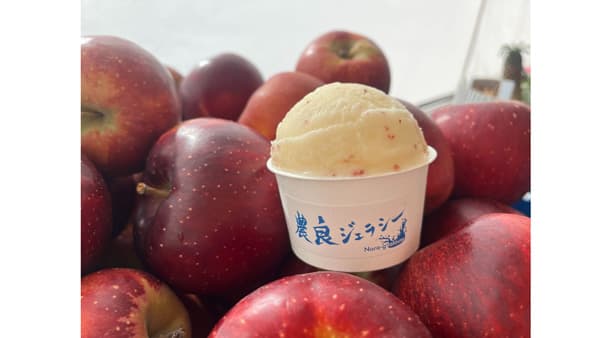 山梨県北杜市「津金りんご」使用ジェラートを冬季限定発売