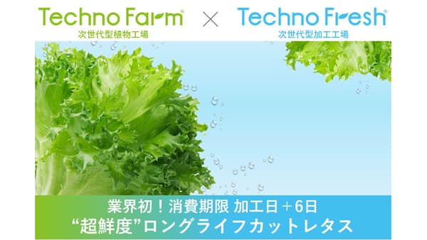 消費期限を6日まで延長「超鮮度ロングライフカットレタス」商品化　スプレッド