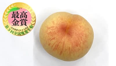 「第3回 全国桃選手権」最高金賞は和歌山県紀の川市「紀州白桃」　日本野菜ソムリエ協会