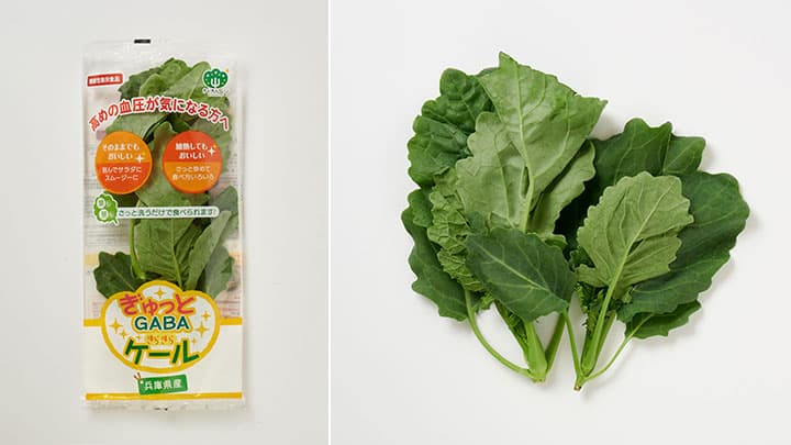 機能性表示食品の高栄養野菜「ぎゅっとGABA　きらきらケール」新発売　日本山村硝子