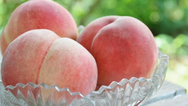 福島市ふるさと納税限定「13種の桃とことん食べ比べ定期便」登場