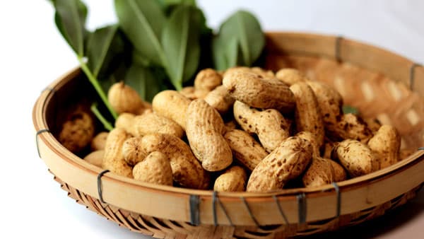 千葉市食のブランド「千」認定　自然栽培の完熟・適熟生落花生を販売　あんばい農園