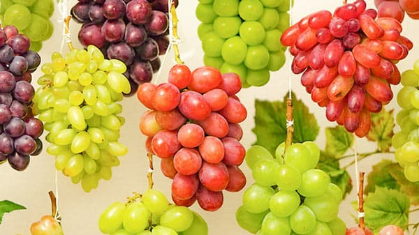 10種類のぶどうを食べ比べ　特別なお取り寄せ販売中　豊洲市場ドットコム