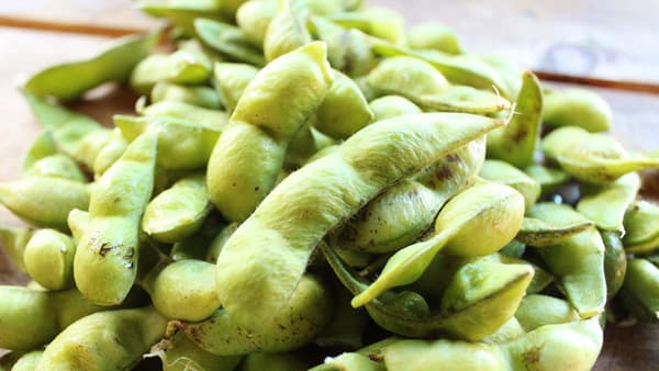 丹波黒豆の本場から「丹波黒枝豆」ふるさと納税返礼品に登場　京丹波町