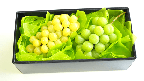 糖度23度以上　自社開発「黄金色に輝くシャインマスカット」新発売　青木フルーツHD