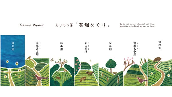有機JAS取得の茶園が茶畑の生態系を守る「茶畑めぐり」発表　豊緑園