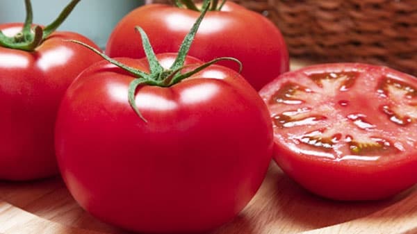 「暑さ対策」品種　黄変果が少ないトマト「桃太郎ブライト」開発　タキイ種苗