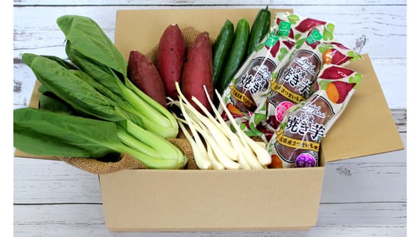 「なめ特マルシェ」ＪＡなめがたしおさい　特選野菜ボックスを送料無料で提供