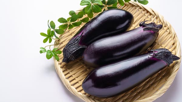 「冬春なす」消費拡大へ　レシピ投稿をSNSで募集　フーディストサービス