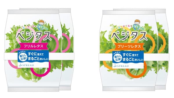 植物工場レタス「ベジタス」を特別価格で「暮らし応援キャンペーン」実施中　スプレッド