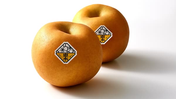 自由研究の宿題をお手伝い　茨城県ブランド梨「恵水」でワークショップ開催