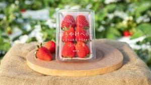 福島のいちご「ゆうやけベリー」フェア　日本橋ふくしま館MIDETTEで開催