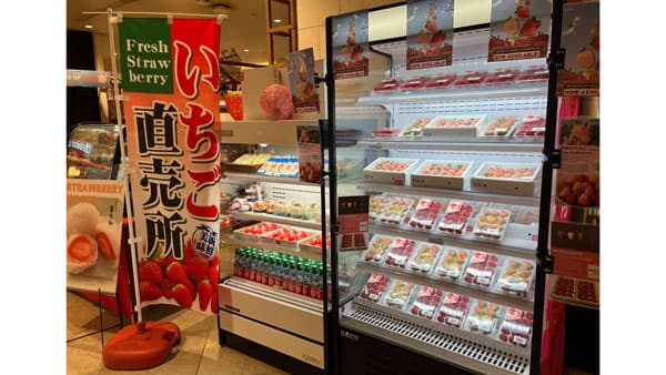 日本産いちごのフィリピン向け輸出解禁　九州産第1号を3月初輸出、市場拡大へ　南山物産