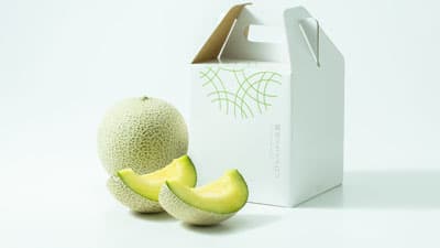 「越谷スカイメロンフェア2024～Spring～」開催　埼玉県越谷市