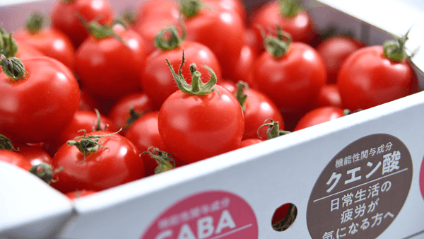 機能性表示食品トマト「Tricho」試食販売会を伊勢丹新宿店で実施　共和ゴム