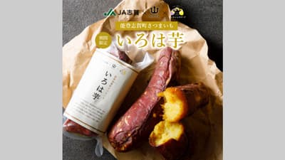 石川県志賀町産さつまいも新ブランド「いろは芋」開発　宗玄酒造・ハチバンと協業　ＪＡ志賀