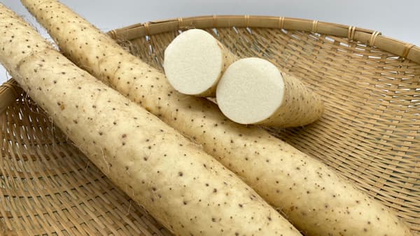 ＪＡ幕別町とコラボ　長芋「とかち太郎」使用の新メニュー発売　ファンデリー