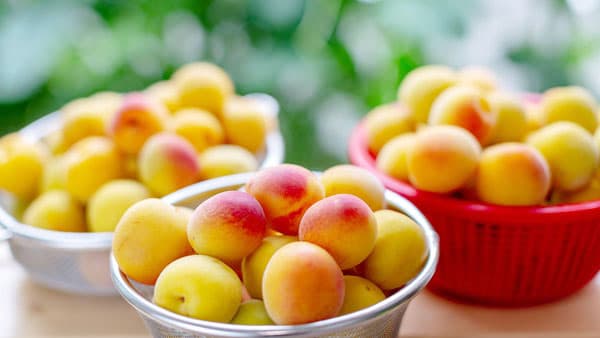 滅多に流通しない完熟度100%「超完熟南高梅」21日から予約開始　梅ボーイズ