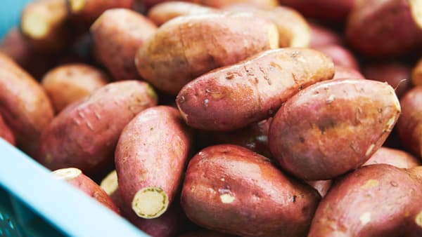 2年連続　長崎県・五島列島の「五島ごと芋」が『さつまいも・オブ・ザ・イヤー』受賞