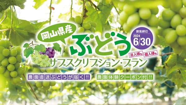 「岡山のぶどう」が定期的に届くサブスクプラン　30日まで販売