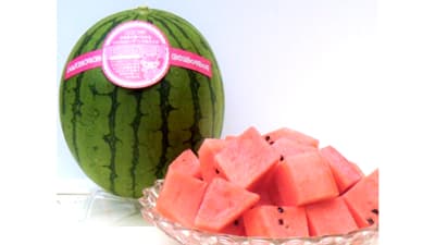 大玉すいか販売大幅減　小玉「ピノ・ガール」は前年比146.8％　農業総研