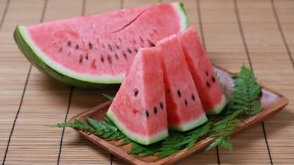 初夏の風物詩　GI認定ブランドスイカ「大栄西瓜」販売開始