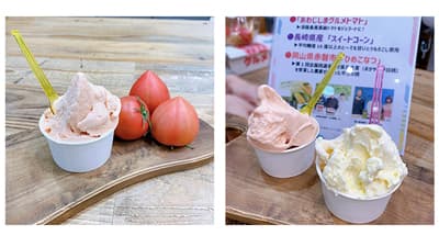 ご当地青果物ジェラート　阪神梅田本店に期間限定で登場　日本野菜ソムリエ協会