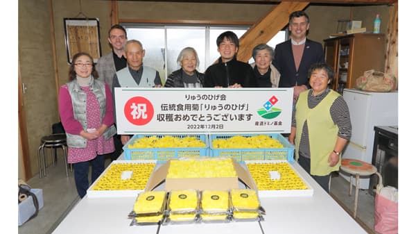 「産直ドミノ基金」新潟市の助成先が伝統食用菊「りゅうのひげ」を商品化　ドミノ・ピザ