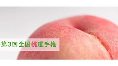「第3回 全国桃選手権」開催　全国から45品がエントリー　日本野菜ソムリエ協会