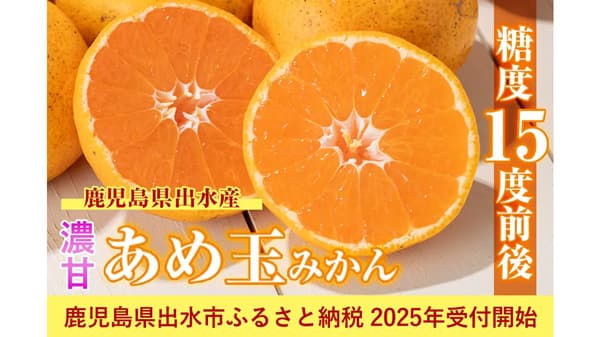 糖度15度前後「濃甘あめ玉みかん」ふるさと納税で受付開始　鹿児島県出水市