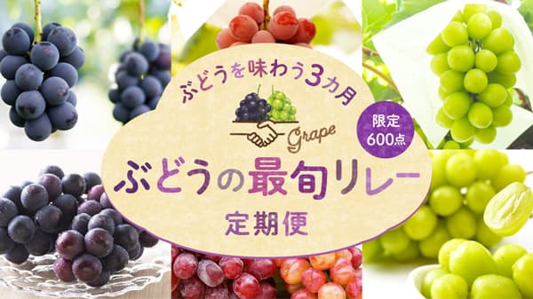 3か月連続で届く「ぶどうの最旬リレー定期便」開始　ポケットマルシェ
