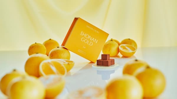 農家と協働「旅するメゾン」に神奈川県「湘南ゴールド」のスイーツ販売　メゾンカカオ