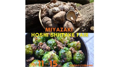 「みやざき乾しいたけフェア」新宿のアンテナで開催