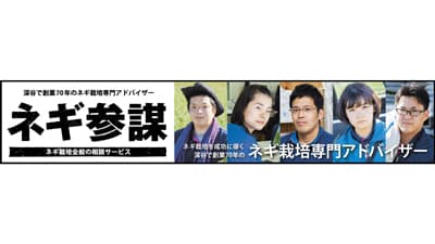 埼玉・深谷発ネギ栽培相談サービス「ネギ参謀」全国2000か所に拡大