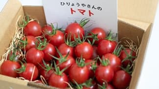 コロナ禍で農家直送野菜「肥料屋さんのトマト」が人気　大成農材