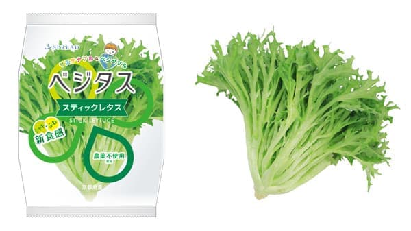 国内初の生産・販売　植物工場野菜「スティックレタス」新発売　スプレッド