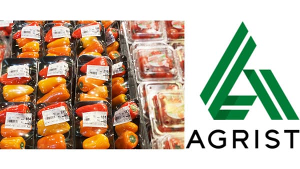 AIで栽培管理「フルーツパプリカ」各地スーパーで販売拡大中　AGRIST