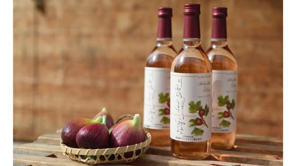 兵庫県川西市　特産いちじく「朝採りの恵み」のワイン　本数限定で発売