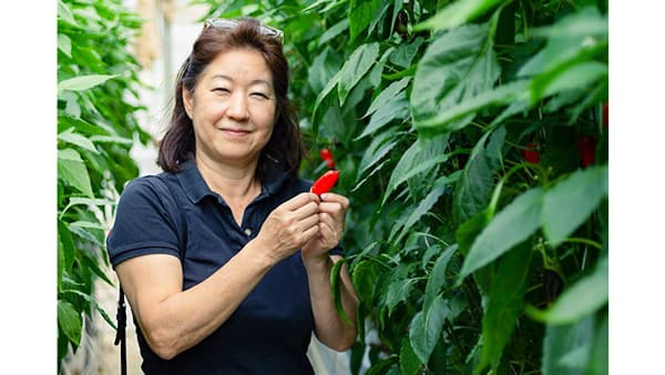 「暑さ乗り越え」野菜　でこぼこだけど味わい濃厚"パプリカ"緊急販売　オイシックス