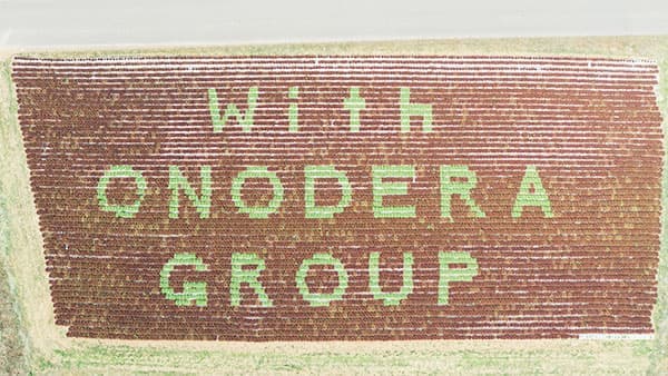 農業の未来を描く「レタスアート」長野県富士見町で開催　LEOC