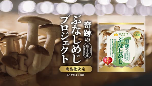 能登工場で育った「奇跡のぶなしめじ」商品化　25日から数量限定で受注開始　ミスズライフ