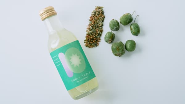 新潟県十日町のサルナシとホーリーバジル使用「十日町ハーバルソーダ」新発売